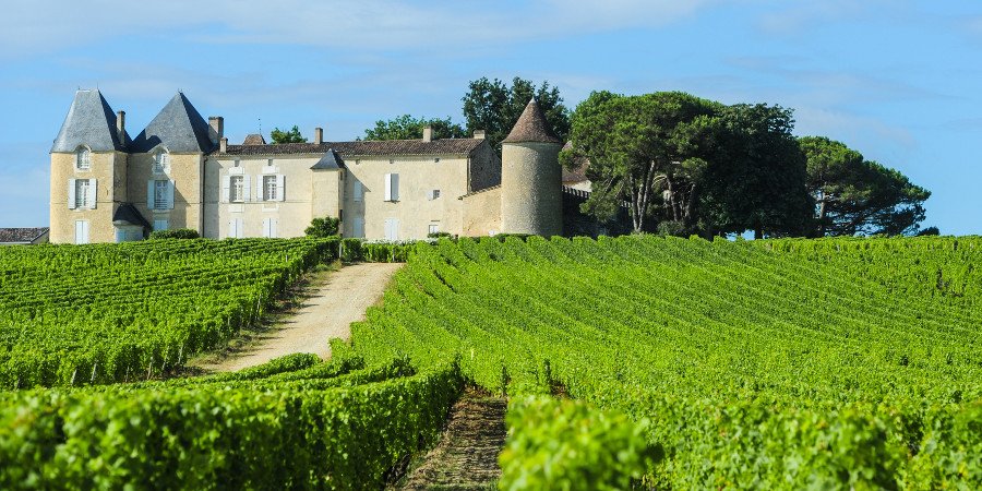 Vigneti e castelli nella regione di Bordeaux
